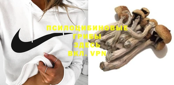 PSILOCYBIN Аркадак