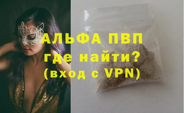 PSILOCYBIN Аркадак