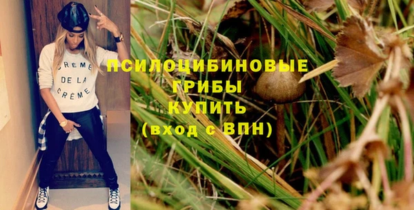 бутират Арсеньев