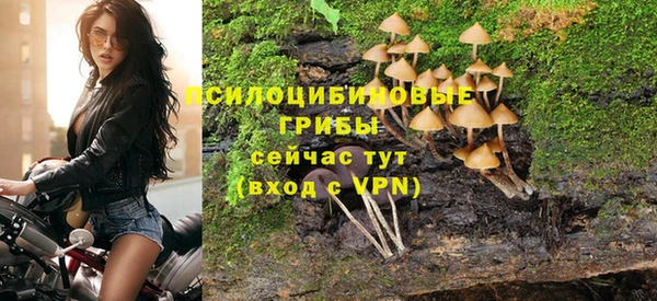 бутират Арсеньев