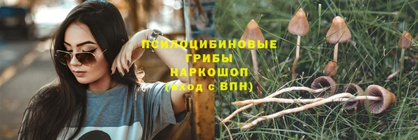 бутират Арсеньев