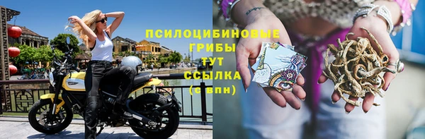 PSILOCYBIN Аркадак