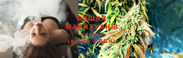 PSILOCYBIN Аркадак