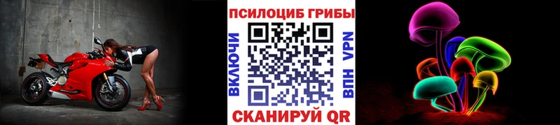 Псилоцибиновые грибы мухоморы  дарнет шоп  Ртищево 